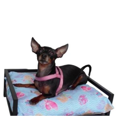 Imagem de Cama pet quadrado tam.p de aço cor preto estilo industrial - Mobbili