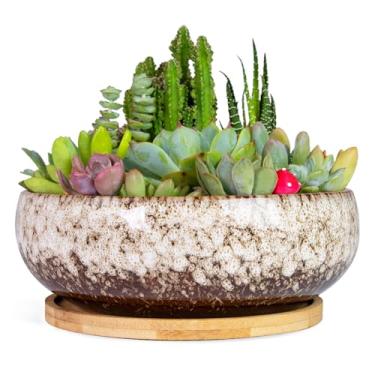 Imagem de ARTKETTY Vasos de suculentas – Vaso grande de 19 cm com bandeja de bambu, vasos rasos de bonsai com drenagem, vaso de cerâmica para plantas de interior, cacto, decoração de mesa de escritório em casa