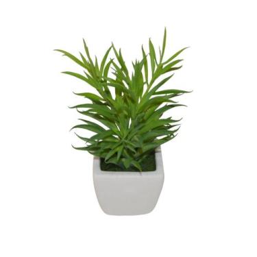 Imagem de Suculenta Cacto de Ramos Firmes em Vaso de Louça 15cm - Bela Flor