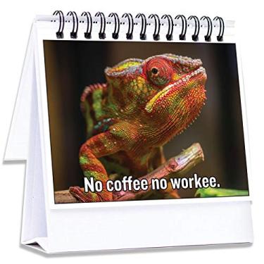 Imagem de Presentes divertidos para colegas de trabalho | Acessórios hilários para cubículos dizem a todos como você está se sentindo | Presente de negócios perfeito, presente de criação, brinquedo de mesa para