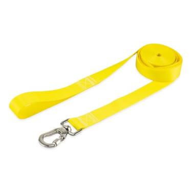 Imagem de Basic Pet Coleira Guia 5 Metros Para Cães Cachorro Adestramento Passeio Porte Grande Médio Pequeno (Amarelo, P)