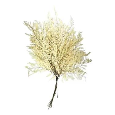 Imagem de Buque Avencão Natural Alvejado Samambaia Avenca Decoração - FLORA FULL