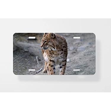 Imagem de Bobcat – Capa para placa de carro – Capa para placa de carro – 15 x 30 cm
