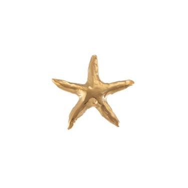 Imagem de Broche de estrela do mar Y2k oceano banhado a ouro aço inoxidável moda estilo estrela do mar broches alfinetes de lapela acessórios de vestido aniversário festa praia joias para mulheres, Liga de aço