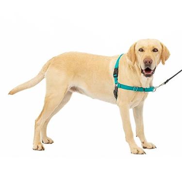 Imagem de PetSafe Peitoral Para Cães Easy Walk Azul-Petróleo Grande