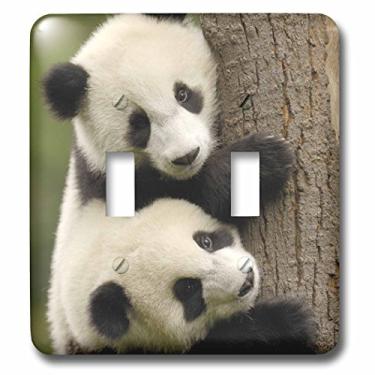 Imagem de 3dRose lsp_70216_2 Ursos panda gigantes, Conservação Wolong, interruptor duplo da China