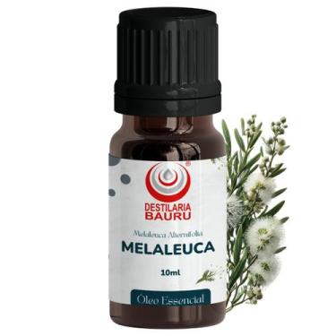 Imagem de Óleo Essencial Melaleuca (Tea Tree) Importado - Destilaria Bauru, 10 m