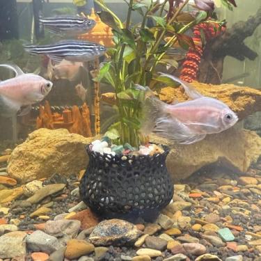 Imagem de HOZOE Vaso de plantas submersas de aquário, âncora de plantas subaquáticas, planta aquática de aquário, decoração de paisagismo de aquário, acessórios decorativos - conjunto de 2 peças (preto)