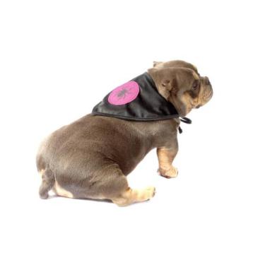 Imagem de Bandana Aranha Halloween para Cachorro e Gato Pet - Bichinho Chic, G, 