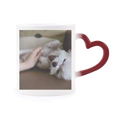 Imagem de Caneca branca para animal de estimação com foto fofa sensível ao calor Caneca vermelha que muda de cor
