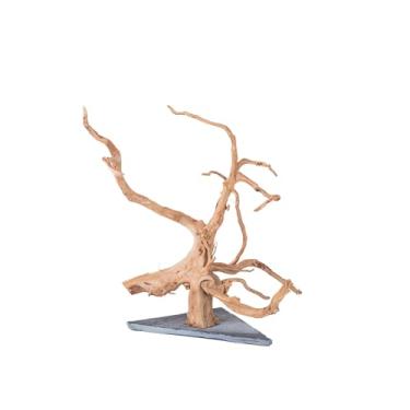 Imagem de AWXZOM Madeira natural de aranha grande para aquário, terrário, viveiro e réptil, decoração de aquário, tanque de répteis, madeira de paisagismo de madeira para decoração de aquário (23-35,5 cm)