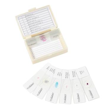 Imagem de Conjunto de lâminas de microscópio preparado para sistema nervoso, 9 unidades de fibra nervosa, neurônio motor, espinhal e mais espécimes típicos do sistema nervoso para aulas de ciências biológicas