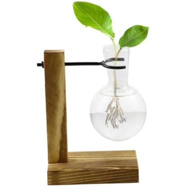 Imagem de Estação de propagação da água, frascos de propagação da planta - Propagação da estação com suporte de propaga o suporte da planta | Vasos de recipiente hidropônico para mulheres, mãe, mãe, casa