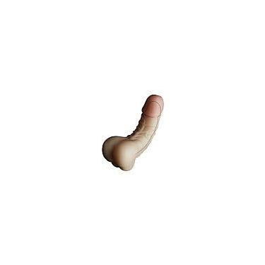 Imagem de Masturbador masculino Ânus - Formato de Pênis - SI