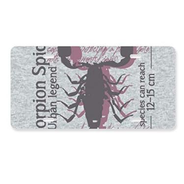 Imagem de DIYthinker Discover World Placa de licença de organza marinha lagosta acessório de aço inoxidável para decoração de carro