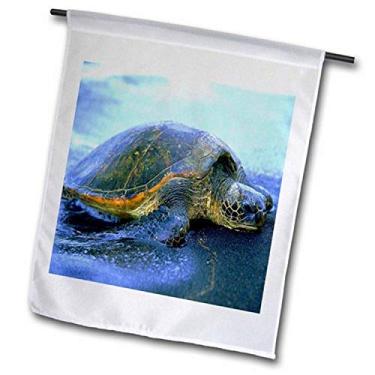Imagem de 3dRose fl_80273_2 Bandeira de jardim de tartaruga marinha havaiana, 45,7 x 68,5 cm