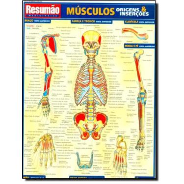 Imagem de Livro - Resumao - Musculos Origens - Insercoes, 1, 21 x 28
