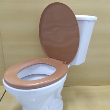 Imagem de Assento Tampa Vaso Sanitário Oval Universal Não Almofadado Resistente Confortável Diversas Cores(CARAMELO CLARO -CM2)