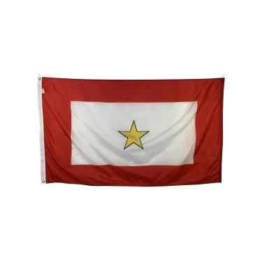 Imagem de Bandeira de Star Service dourada de 7,6 cm x 12,7 cm – Nylon durável para todos os climas e costura reforçada na extremidade da braguilha – Feito nos EUA