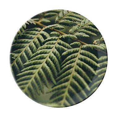 Imagem de Placa de fotografia de folhas de planta, placa de natureza decorativa de porcelana salver louça, louça de jantar