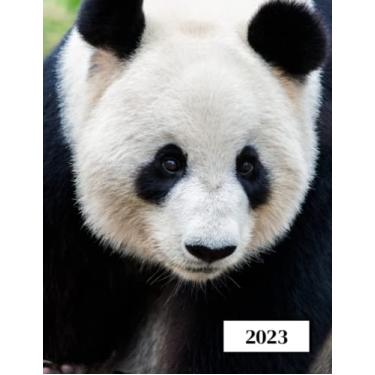 Imagem de 2023: Agenda semainier au format A4 - Année civile (Janvier à Décembre 2023) - Intervalles d'1h (7h-22h) - Contacts, jours fériés, mots de passe, ... - Une semaine sur deux pages