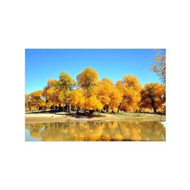 Imagem de Paisagens Pintura em Tela-Lago árvores outono-Arte Parede Natureza-Pôster Decoração Sala de Estar Banheiro 20x30cm Sem Moldura