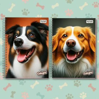 Imagem de Kit 2 cadernos 20 Matérias Masculino e Feminino 320 Folhas Sortido - N