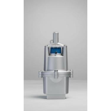 Imagem de Bomba Submersa 450W Monofásica 110V - Congratulations Store
