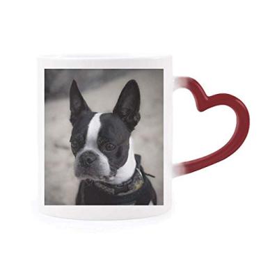 Imagem de Caneca Bulldog Pet Animal com imagem escura sensível ao calor Caneca vermelha que muda de cor