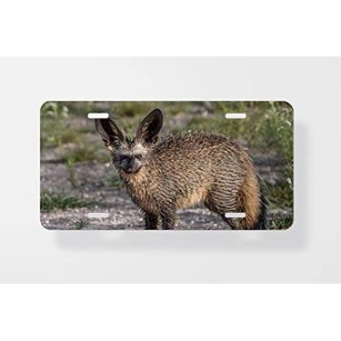 Imagem de Capa para placa de carro Bat Eared Fox estrelando na câmera – Capa para placa de carro – Capa para placa de carro 15 x 30 cm