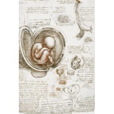 Imagem de Leonardo da Vinci Studies of the Foetus in the Womb (circa 1510-1513) Notebook Journal: Famous Paintings Notebooks