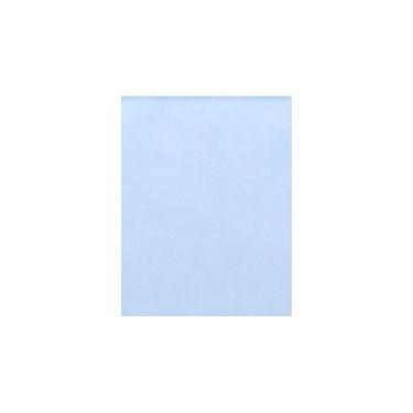 Imagem de 28 cm x 43 cm Cartolina - Azul bebê (50 unidades). | Perfeito para artesanato, convites, scrapbooking, fotos 11 x 17, folhetos | Impresso | 100 lb. Peso do texto | 1117-C-13-50