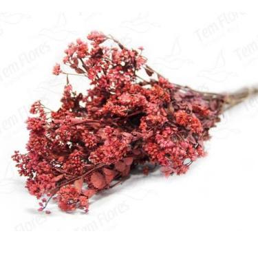 Imagem de Chuvisco Flor Desidratada Buque Flores Secas - Pense Flores, Vermelho