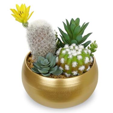Imagem de Oairse Cactos artificiais para ambientes internos, suculentas falsas sortidas de 18 cm em vasos, planta de mesa em vaso falso com tigela de ouro, mini suculentas, decoração de cacto artificial para