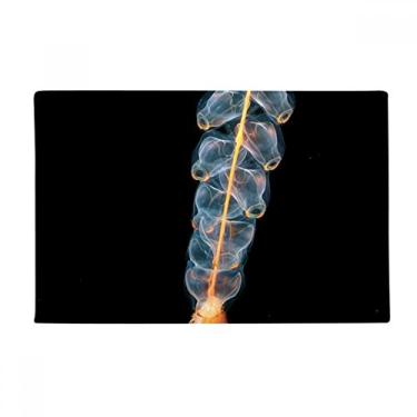 Imagem de DIYthinker Tapete para porta de banheiro com imagem da natureza da ciência, tapete antiderrapante