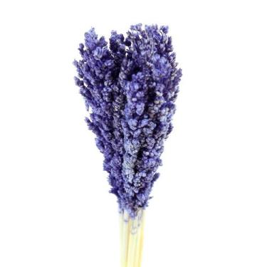 Imagem de Sorgo Roxo Desidratado p/ Decoração - Tem Flores