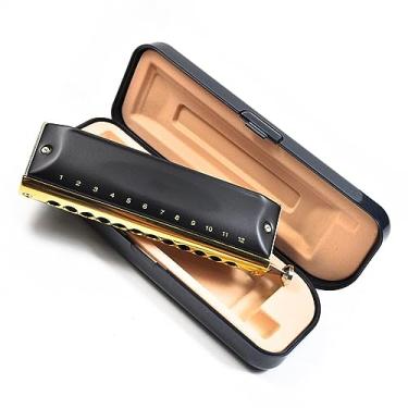 Imagem de Gaita cromática ABS pente 12 furos 48 tons C chave gaita instrumento musical sopro madeira