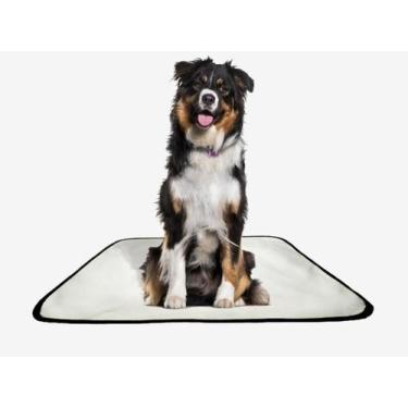 Imagem de Tapete Pet Reutilizável Adestramento Oferta 1 Un G1 100X120 - Shelby M