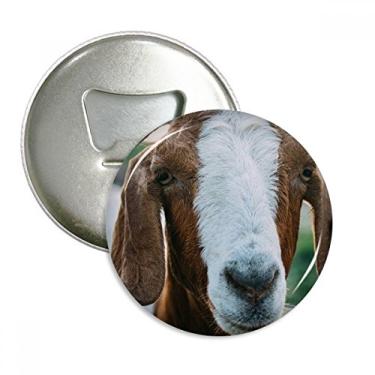 Imagem de Organizador terrestre de ovelhas com fotografia de animais abridor de garrafas ímã de geladeira emblema multifuncional