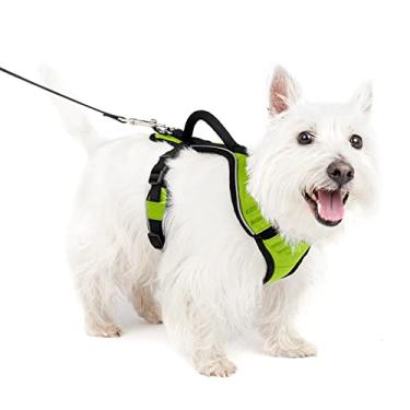 Imagem de PetSafe Peitoral para cães EasySport, peitoral acolchoado ajustável para cães com alça de controle e tubulação refletiva, dos fabricantes do arnês Easy Walk