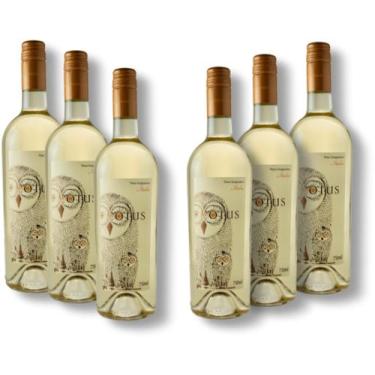 Imagem de Vinho Branco Italiano Asio Otus Enigmatico 750ml 6 Und