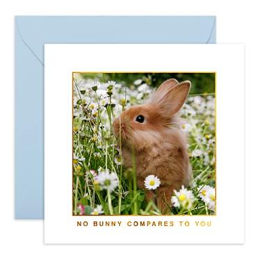 Imagem de CENTRAL 23 Cartão de aniversário engraçado para namorado - No Bunny Compares To You - Cartão de aniversário de namorada - presentes para esposa marido melhores amigos - Vem com adesivos fofos