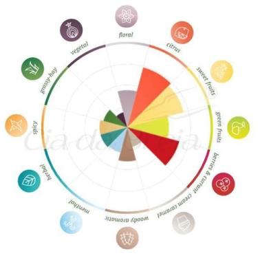 Imagem de Lúpulo - Citra (50G) - Lnf