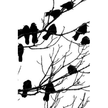 Imagem de My Book of Magic: Spellbook Magick Notebook Journal for Casting Spells Documenting Rituals Recording Ceremonies Witchcraft Workbook: Witch Craft 367 ... Spitituality Gothic Occult Love Spell Book