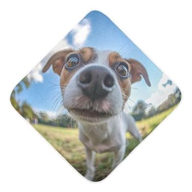 Imagem de STAYTOP Toalhas de bebê com capuz de musselina de cachorro fofo olho de peixe, toalha de banho super macia, toalhas de banho absorventes para banho unissex recém-nascido 89 x 89 cm