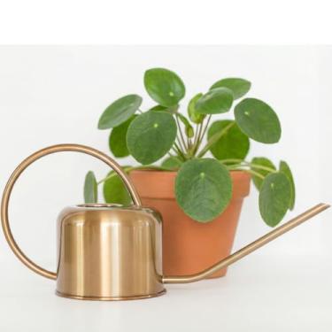 Imagem de Regador de plantas domésticas premium (dourado) - jardinagem moderna decorativa dourada/prata - perfeito para ambientes internos com bico longo