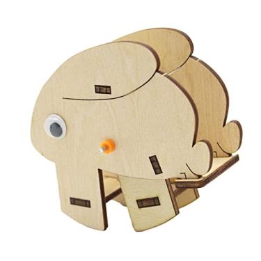 Imagem de menolana Projeto de ciência da madeira de modelos para experimentos Tecnologia de produção para presentes de aniversário