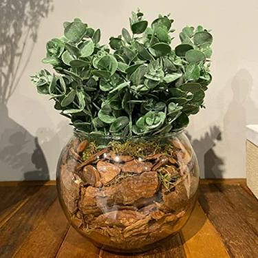 Imagem de Arranjo Centro de Mesa Verdinho Eucalipto Artificial Completo