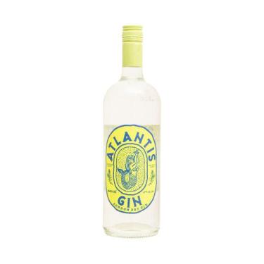 Imagem de Gin atlantis 1l