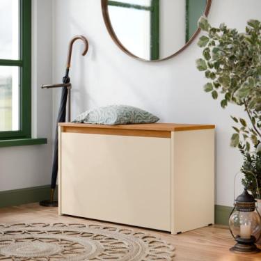 Imagem de Armário Sapateira Organizadora Mel 1 Porta Basculante Hall de Entrada 